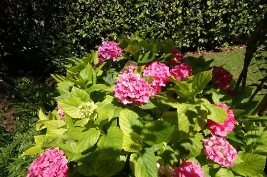 Hotel Ponte Vecchio Cernobbio